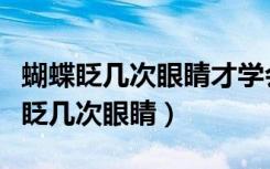 蝴蝶眨几次眼睛才学会飞行是什么意思（蝴蝶眨几次眼睛）