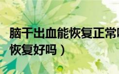 脑干出血能恢复正常吗能开车吗（脑干出血能恢复好吗）