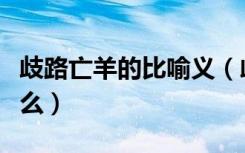 歧路亡羊的比喻义（歧路亡羊的成语寓意是什么）