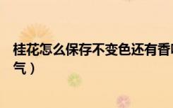 桂花怎么保存不变色还有香味（桂花怎么保存不变色还有香气）