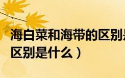 海白菜和海带的区别是什么（海白菜和海带的区别是什么）