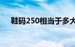 鞋码250相当于多大（鞋码250是多大）