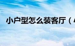 小户型怎么装客厅（小户型怎么装修显大）