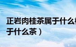 正岩肉桂茶属于什么档次的茶（正岩肉桂茶属于什么茶）