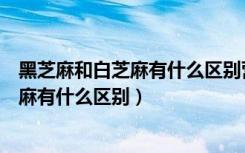 黑芝麻和白芝麻有什么区别营养价值一样吗（黑芝麻和白芝麻有什么区别）