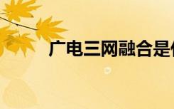 广电三网融合是什么（广电影院）