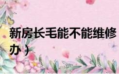 新房长毛能不能维修（未装修的房子长毛怎么办）