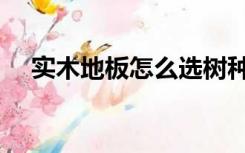 实木地板怎么选树种（实木地板怎么选）