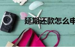 延期还款怎么申请（延期还款）