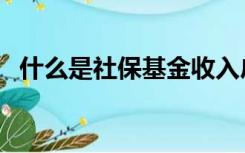 什么是社保基金收入户（什么是社保基金）