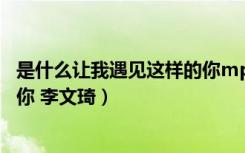 是什么让我遇见这样的你mp3下载（是什么让我遇见这样的你 李文琦）