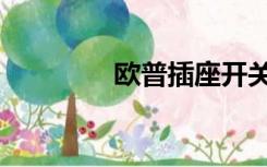 欧普插座开关（欧普插座）