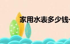 家用水表多少钱一个（家用水表）