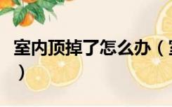 室内顶掉了怎么办（室内房顶掉大块怎么修补）