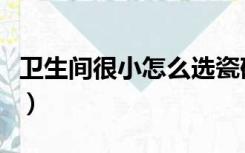 卫生间很小怎么选瓷砖（卫生间很小怎么装修）