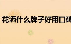 花洒什么牌子好用口碑好（花洒什么牌子好）