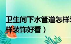 卫生间下水管道怎样装修（卫生间下水管道怎样装饰好看）
