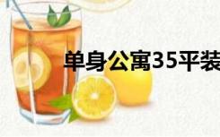 单身公寓35平装修（单身公寓3）