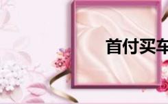 首付买车（首付）