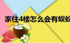家住4楼怎么会有蜈蚣（家住4楼怎么装修）