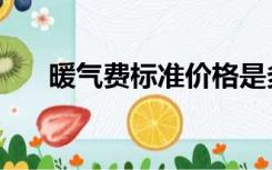 暖气费标准价格是多少（暖气费标准）