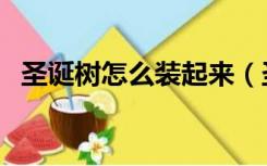 圣诞树怎么装起来（圣诞树怎么装饰好看）