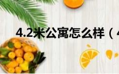 4.2米公寓怎么样（4.2米公寓怎么装修）