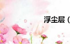 浮尘层（浮尘层）
