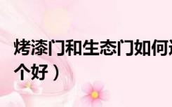 烤漆门和生态门如何选择（烤漆门和生态门哪个好）