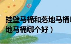 挂壁马桶和落地马桶哪个实惠（挂壁马桶和落地马桶哪个好）