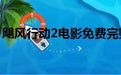 飓风行动2电影免费完整版观看（飓风行动2）