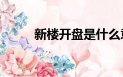 新楼开盘是什么意思（新楼开盘）