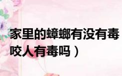 家里的蟑螂有没有毒（家里有蟑螂怎么办蟑螂咬人有毒吗）