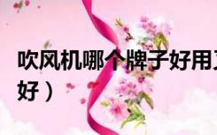 吹风机哪个牌子好用又耐用（吹风机哪个牌子好）