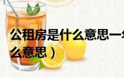 公租房是什么意思一年房租多少（公租房是什么意思）