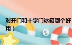 对开门和十字门冰箱哪个好（对开门和十字门冰箱哪个更实用）