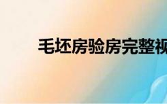 毛坯房验房完整视频（毛坯房验房）
