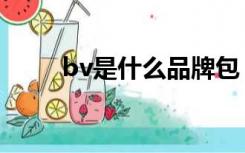 bv是什么品牌包（bv是什么电线）