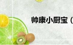 帅康小厨宝（帅康小厨宝）