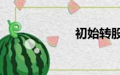 初始转股（初始）
