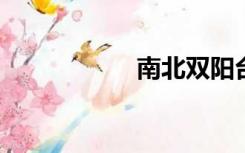 南北双阳台怎么装修