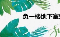 负一楼地下室装修（负一楼）