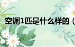 空调1匹是什么样的（空调1匹是什么意思）