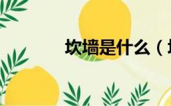 坎墙是什么（坎墙怎么装修）