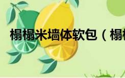 榻榻米墙体软包（榻榻米软包墙怎么安装）