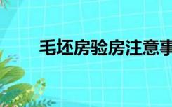 毛坯房验房注意事项（毛坯房验房）