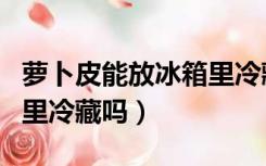 萝卜皮能放冰箱里冷藏吗吗（萝卜皮能放冰箱里冷藏吗）