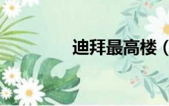 迪拜最高楼（迪拜最高楼）