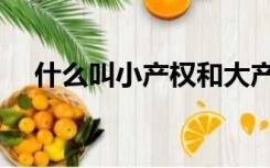 什么叫小产权和大产权（什么叫小产权）