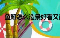 鱼缸怎么造景好看又简单（鱼缸怎么造景）